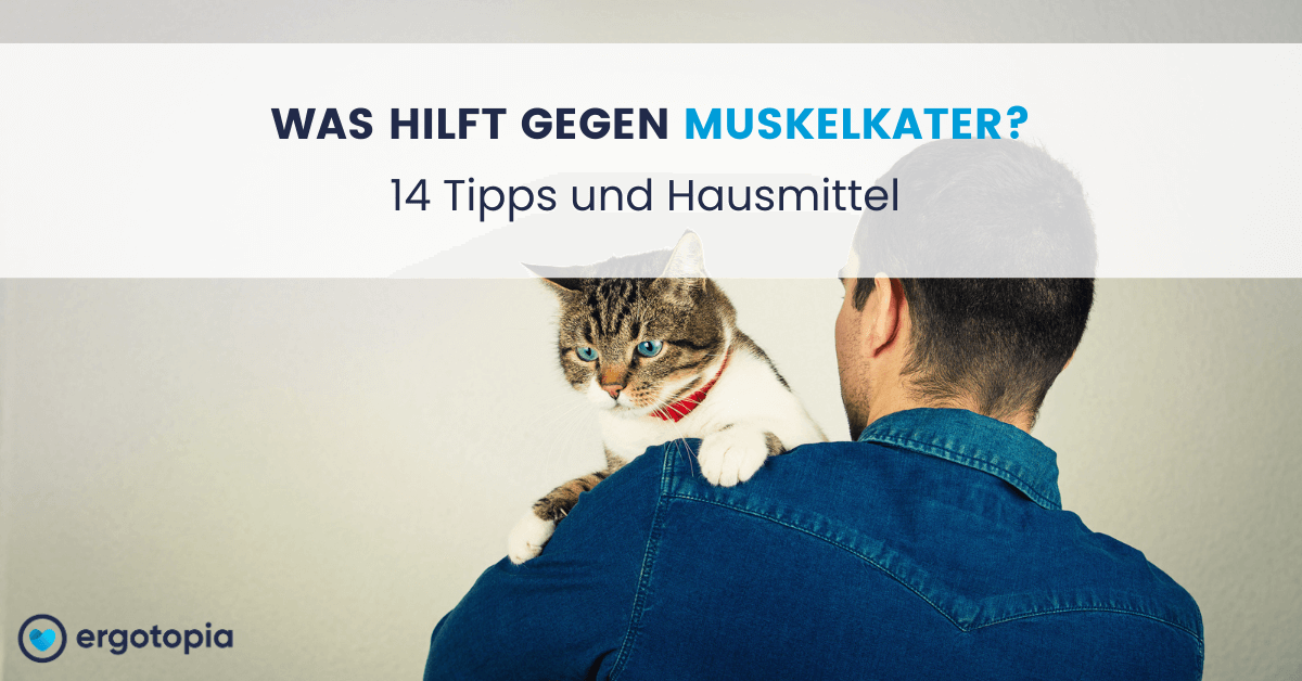 Kater ist auf der Schulter eines jungen Mannes