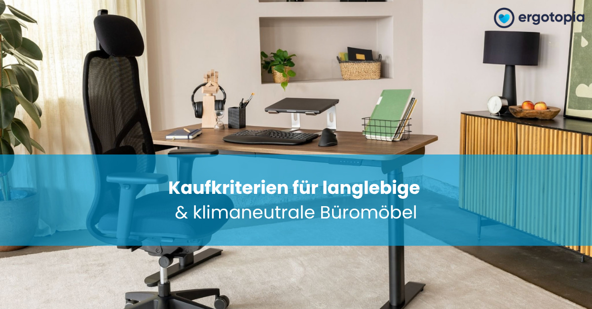 Schwarzer ergonomischer Netzstuhl mit Kopfstütze vor einem höhenverstellbaren Schreibtisch aus Holz