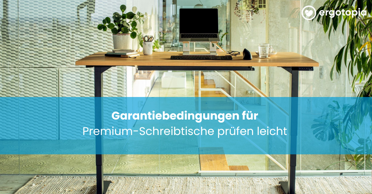 Höhenverstellbarer Schreibtisch mit Laptop und Pflanze steht in modernem Büro mit Glaswänden.
