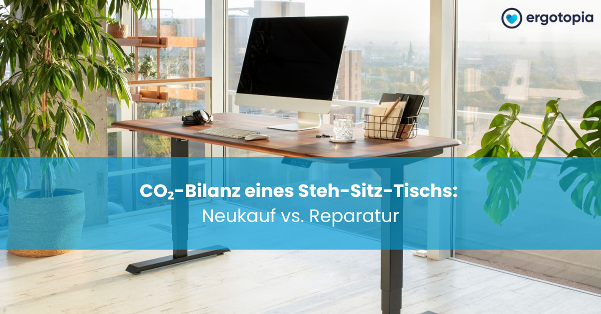Höhenverstellbarer Schreibtisch mit Holzplatte und iMac vor großer Fensterfront in luftiger Bürolage