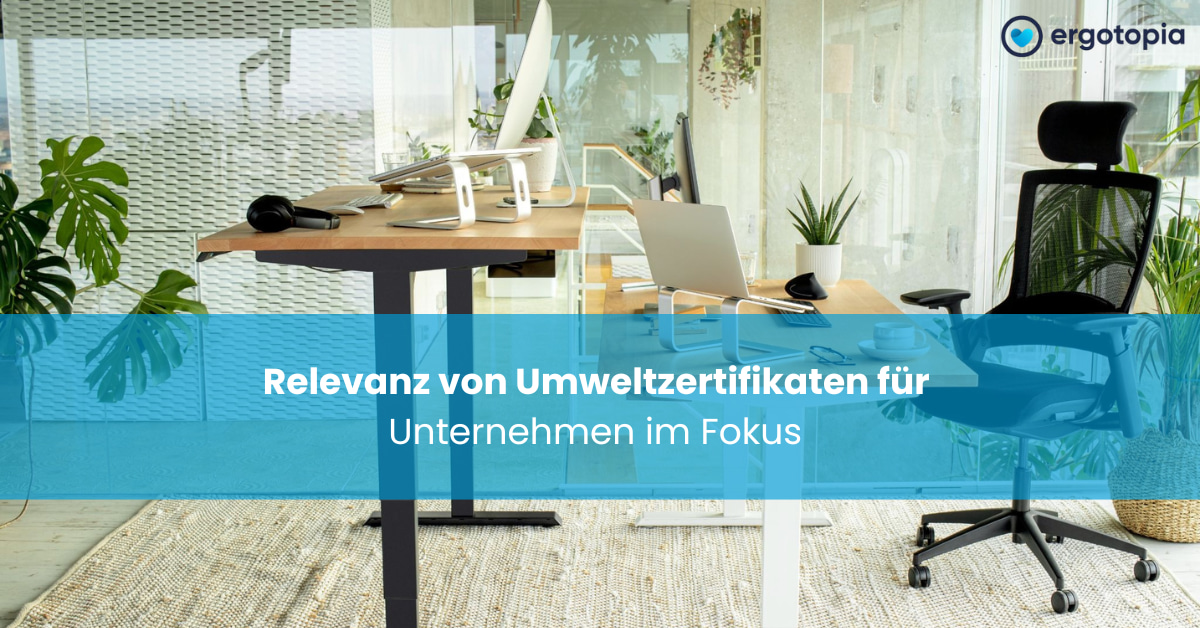 Zwei höhenverstellbare Schreibtische mit Laptopständern stehen im hellen Büro, schwarzer Stuhl daneben.