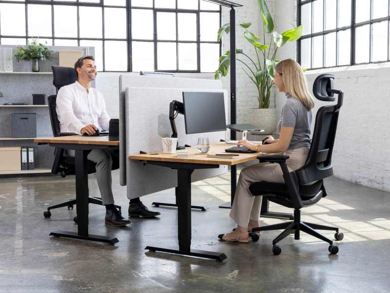 Zwei Kollegen, ein Mann und eine Frau, arbeiten produktiv und komfortabel an separaten, höhenverstellbaren Schreibtischen mit ergonomischen Bürostühlen in einem hellen Loft-Büro. Eine graue, schallabsorbierende Trennwand bietet Privatsphäre