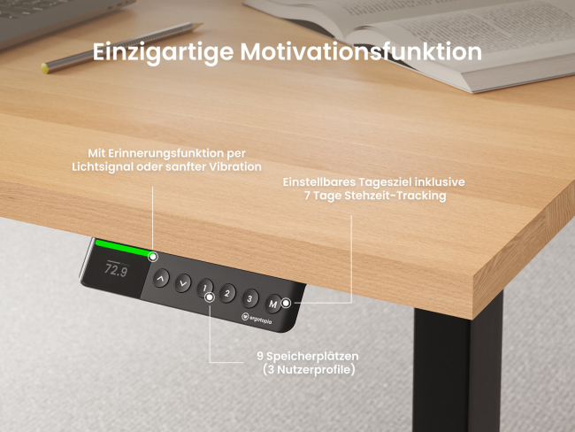 Dein Premium Produktivitäts-Set – Schreibtisch & LED Lampe - 7