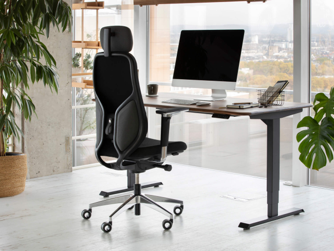 Ergotopia MasterBack Executive: Ergonomischer Sitzkomfort der Spitzenklasse - 10