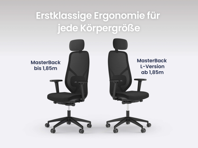 Ergotopia MasterBack Style: Ergonomischer Sitzkomfort der Spitzenklasse - 9