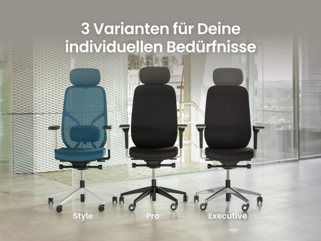 Ergotopia MasterBack Style: Ergonomischer Sitzkomfort der Spitzenklasse - 8