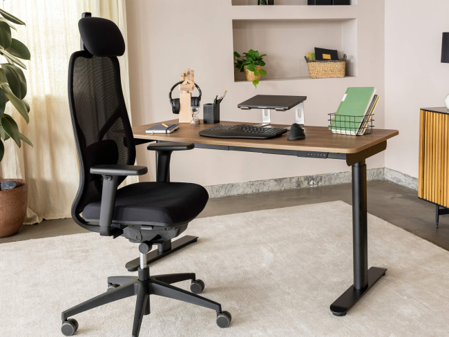 Ergotopia MasterBack Style: Ergonomischer Sitzkomfort der Spitzenklasse - 10