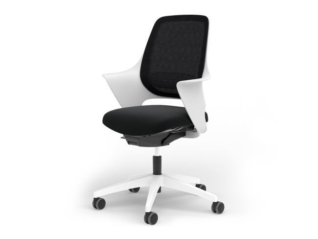Ergotopia WellBack - Ergonomischer Schreibtischstuhl in modernem Design - 1