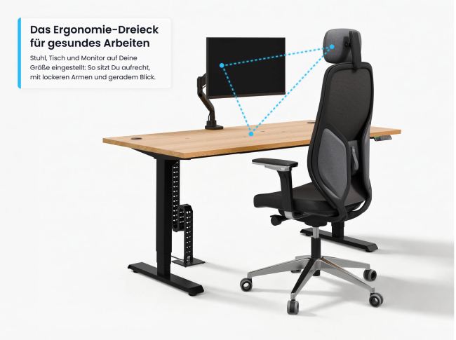 Desktopia Pro X - 18
