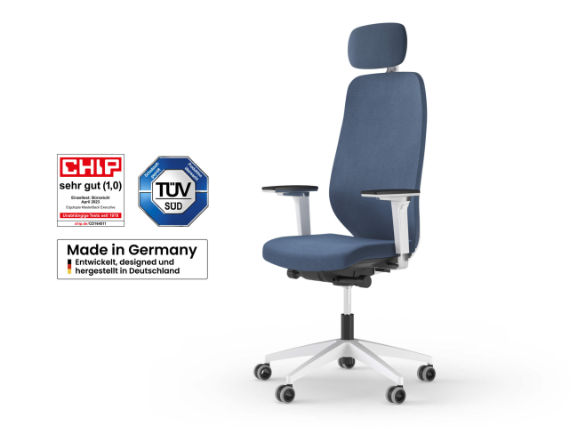 Ergotopia MasterBack Pro L: Ergonomischer Sitzkomfort der Spitzenklasse