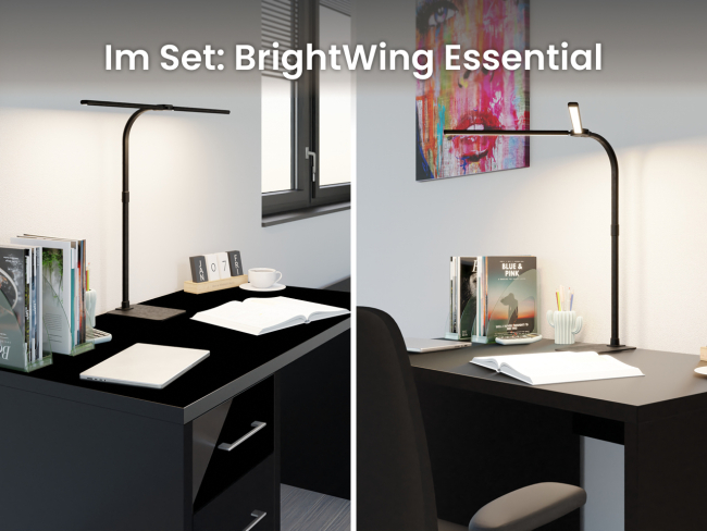 Dein Einsteiger Produktivitäts-Set – Schreibtisch & LED Lampe - 7