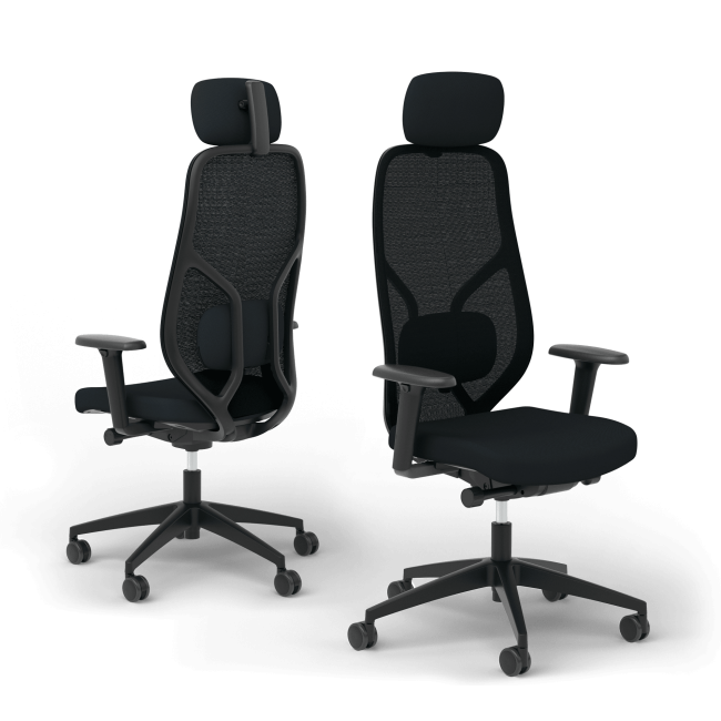 Ergotopia MasterBack Style: Ergonomischer Sitzkomfort der Spitzenklasse - 2