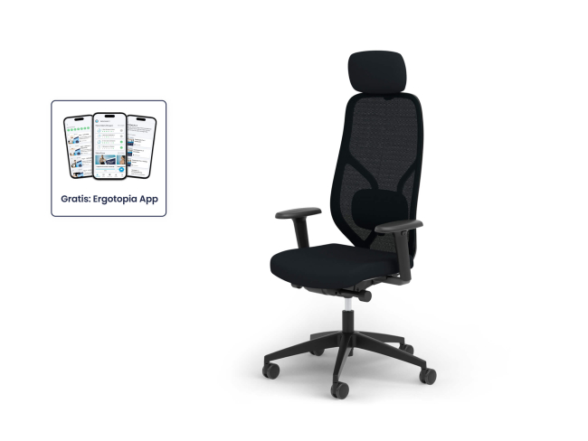 Ergotopia MasterBack Style: Ergonomischer Sitzkomfort der Spitzenklasse - 11