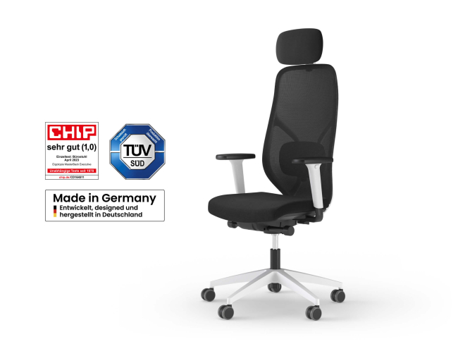 Ergotopia MasterBack Style: Ergonomischer Sitzkomfort der Spitzenklasse