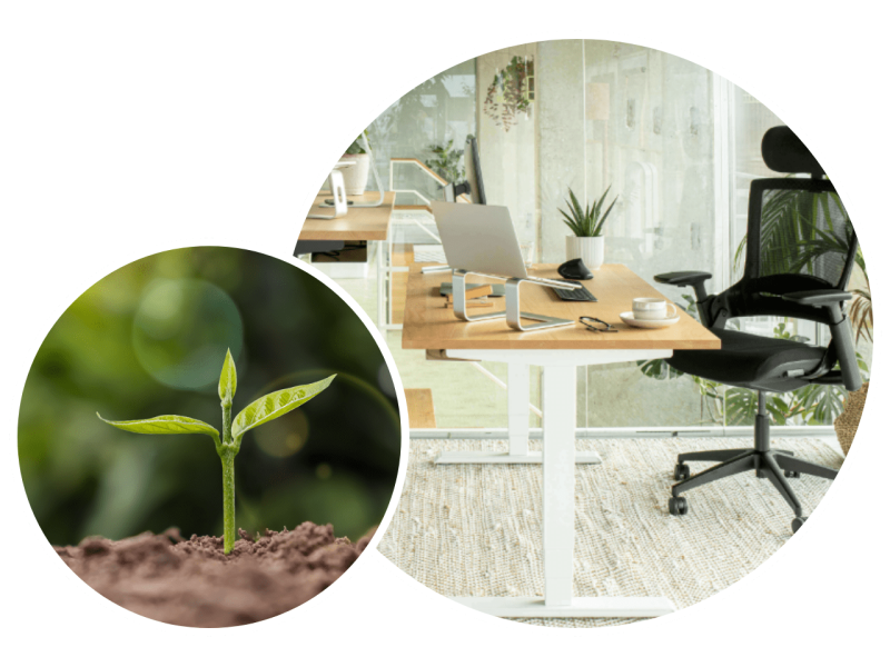 Junge Pflanze waechst aus Erde neben ergonomimschem Arbeitsplatz von Ergotopia