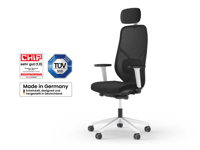 Ergotopia MasterBack Style L: Ergonomischer Sitzkomfort der Spitzenklasse