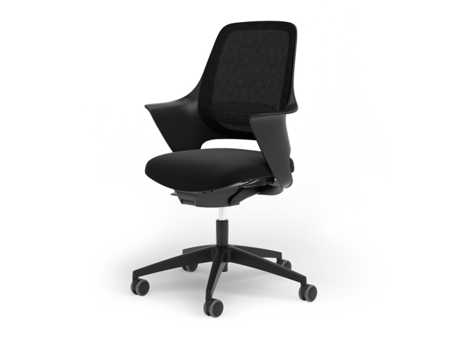 Ergotopia WellBack - Ergonomischer Schreibtischstuhl in modernem Design - 1