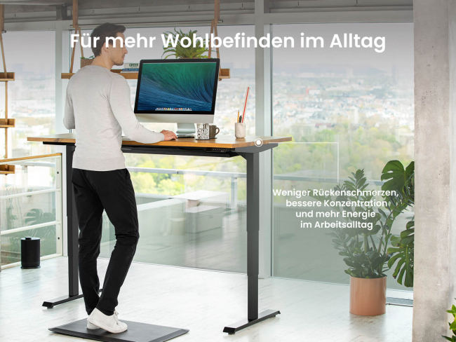 Desktopia Pro X - 7