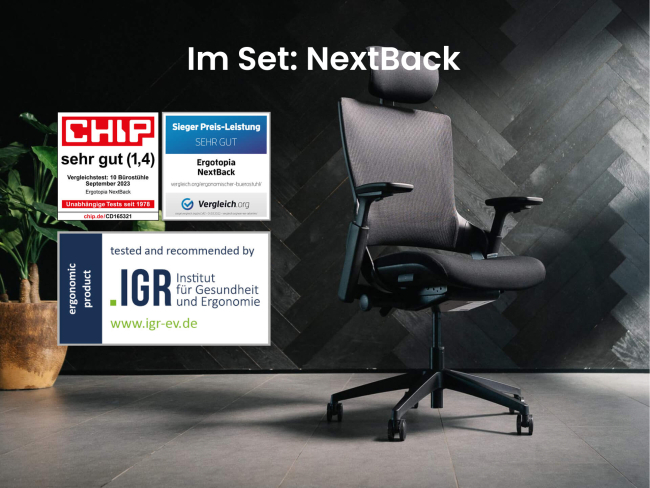 Dein Premium-Sitzgefühl – Stuhl & Sitzkissen Set - 2
