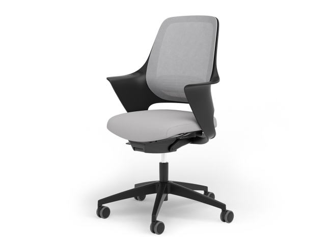 Ergotopia WellBack - Ergonomischer Schreibtischstuhl in modernem Design - 1
