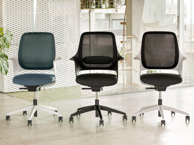 Ergotopia WellBack - Ergonomischer Schreibtischstuhl in modernem Design - 9