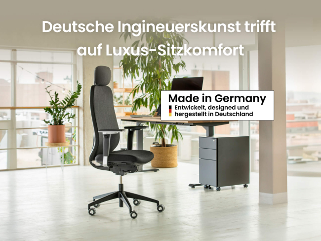 Ergotopia MasterBack Pro: Ergonomischer Sitzkomfort der Spitzenklasse - 2