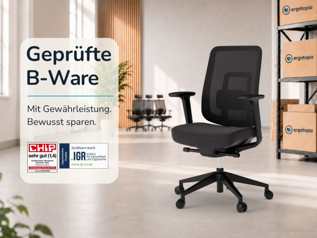 B-Ware - Ergotopia PureBack - Ergonomischer Bürostuhl 