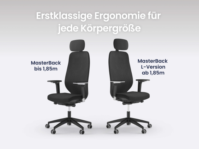 Ergotopia MasterBack Pro: Ergonomischer Sitzkomfort der Spitzenklasse - 8