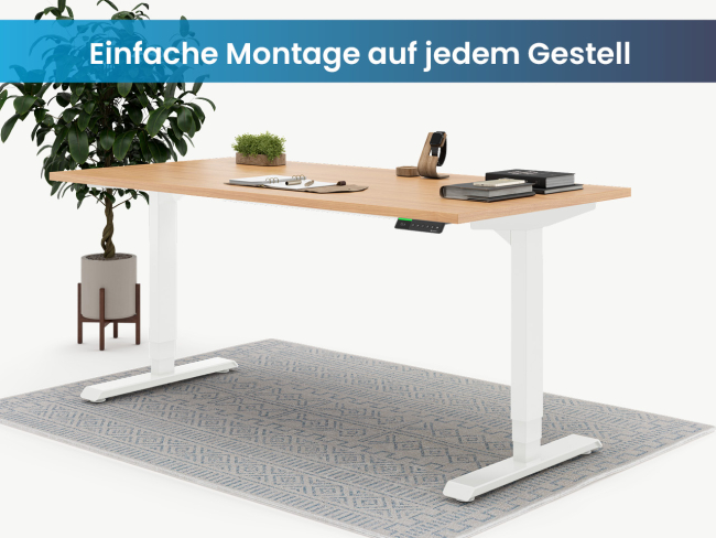Tischplatte Eiche furniert - 4