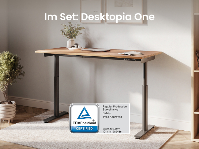 Dein Einsteiger Produktivitäts-Set – Schreibtisch & LED Lampe - 2