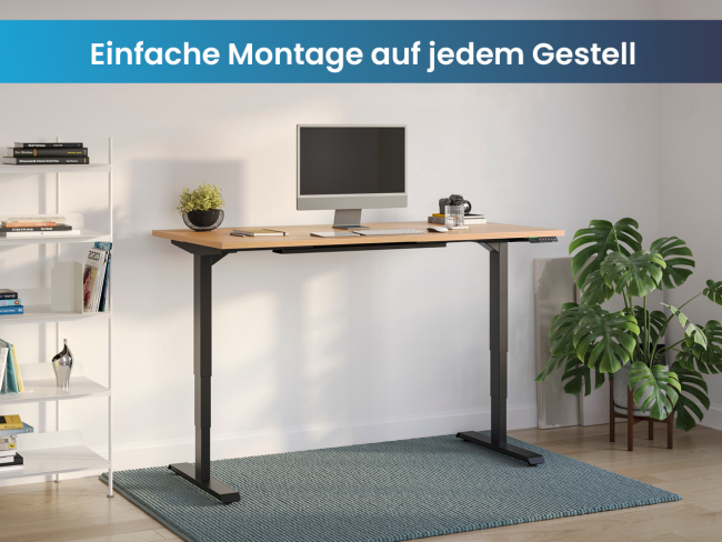 Tischplatte Buche - 4