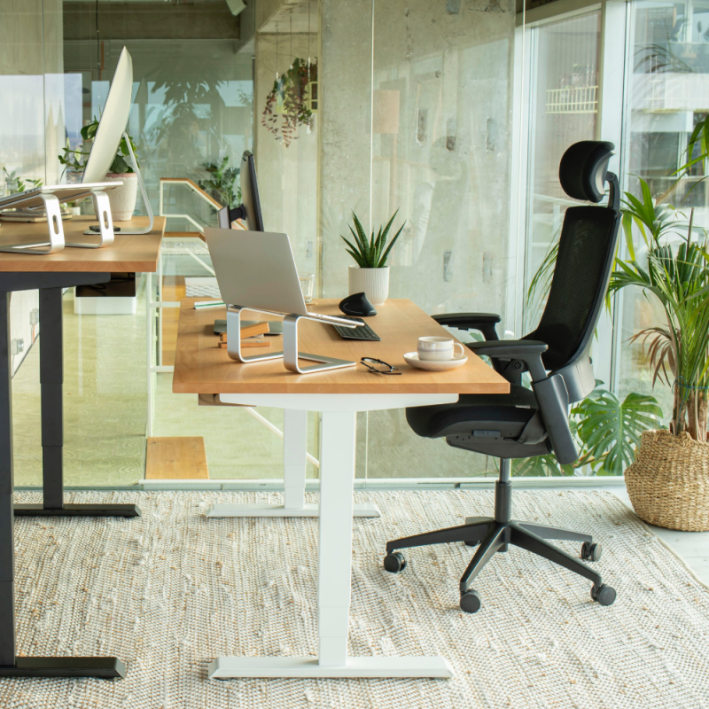 Buero mit ergonomischem Buerostuhl NextBack und hoehenverstellbaren Schreibtischen von Ergotopia