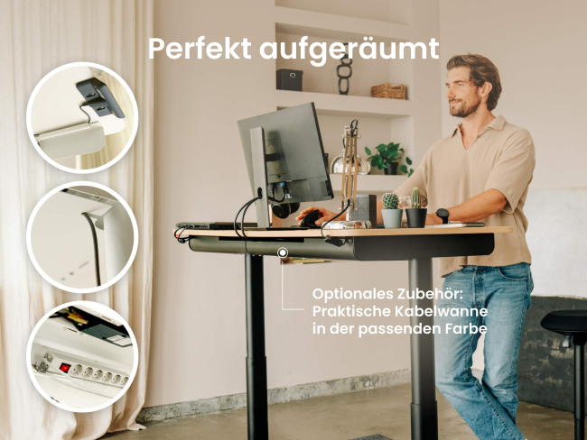 Desktopia One - 5