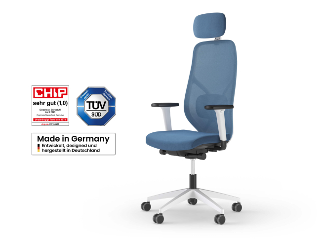 Ergotopia MasterBack Style L: Ergonomischer Sitzkomfort der Spitzenklasse