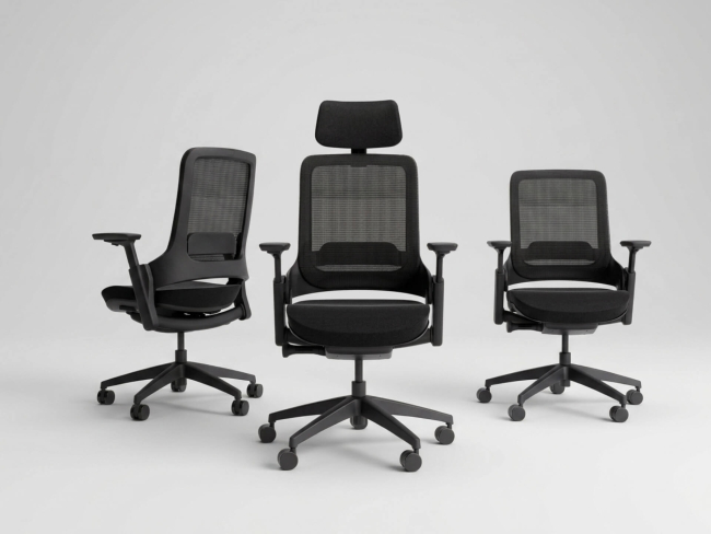Ergotopia NextBack Pro - Ergonomischer Bürostuhl  - 5