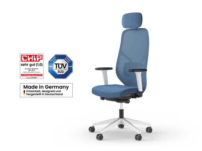 Ergotopia MasterBack Style: Ergonomischer Sitzkomfort der Spitzenklasse
