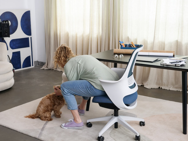 Ergotopia WellBack - Ergonomischer Schreibtischstuhl in modernem Design - 7