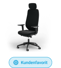 Premium-Schreibtischstuhl Ergotopia MasterBack Pro
